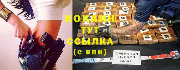 прущая мука Армянск